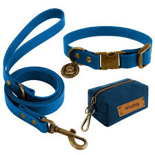 Collars/Leashes