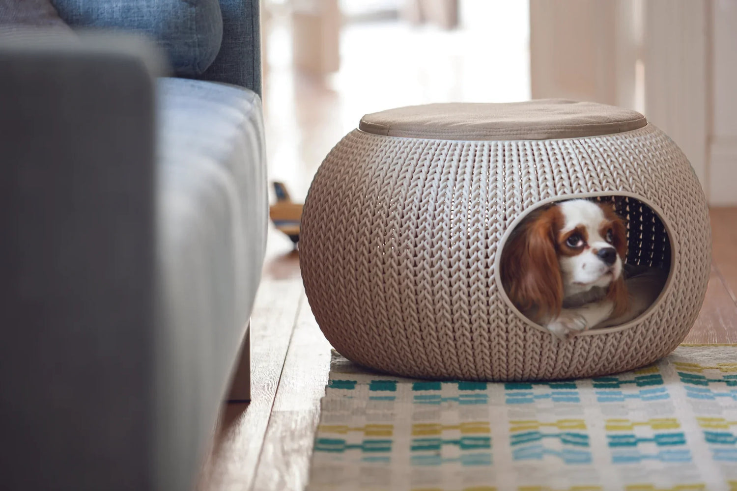 Pet Homes