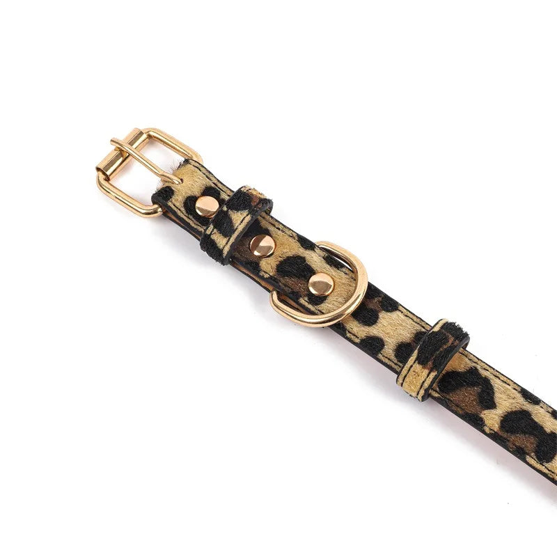 Leopard & Snake Pattern Pet Collars – Adjustable Faux Leather Dog and Cat Collars with Gold Buckle