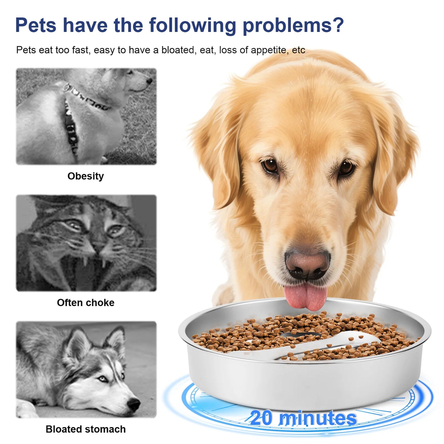 304 Stainless Steel Pet Dog Slow Feeder Bowl with Non-Slip Mat Pet Bowl Anti-Choking Pet Food Bowls for Small & Medium Dogs