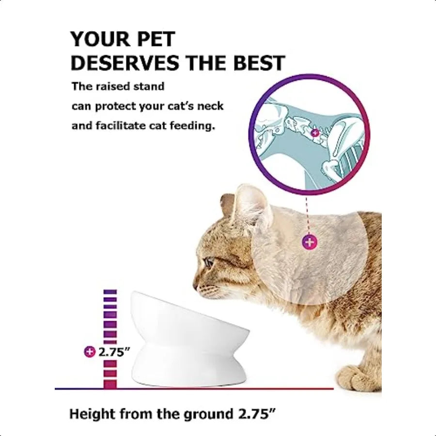 Cat Bowl Anti Vomiting Raised Food Bowls Tilted Elevated Bowl Ceramic Pet Food Bowl for Flat Faced Cats Small Dogs Protect Pet'