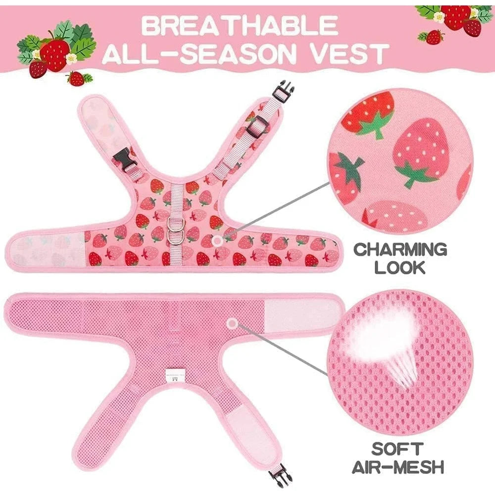 Escape Proof Cat Harness with Leash Fashionable Breathable Mesh Adjustable Vest Small Dogs Puppies Outdoor Walking Safety