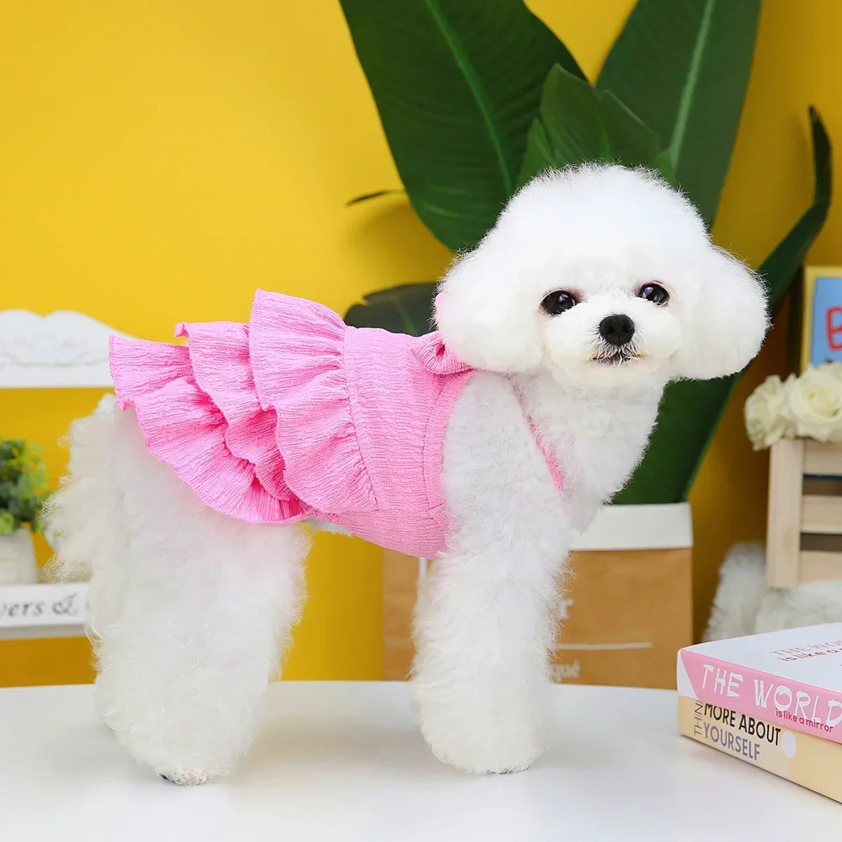 2023 Spring Pet Clothes Dog Princess Dresses Puppy Dress Pet Skirt Puppy Dog Princess Dresses for Small Medium Cat Costume Pug