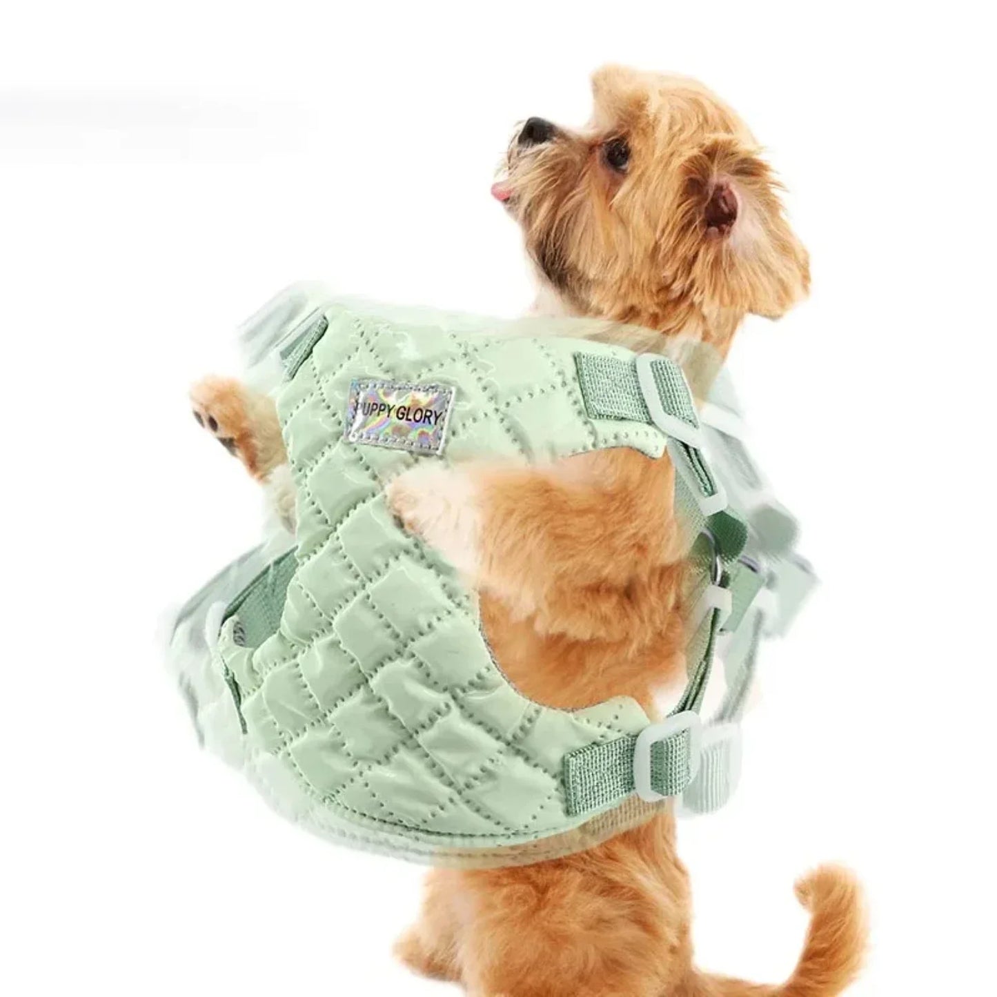 Waterproof Dog Harness Puppy Dog Vest Harness  Small Medium Dogs Adjustable Dog Kitten Cat Chest Strap Yorkie Pet Accessories