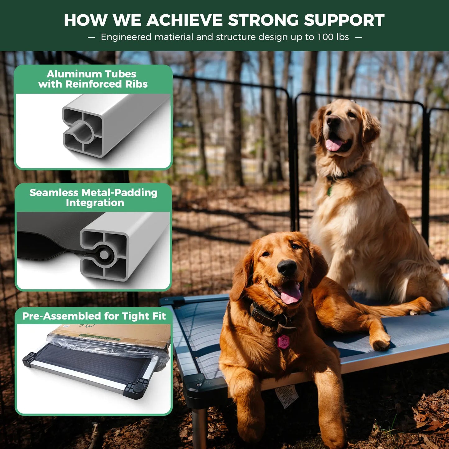 FXW TitanNest Padded Dog Bed for Crate, Chew-Proof Elevated Cot for Indoor/Outdoor/Camping Use, Durable & Washable Pet Bed