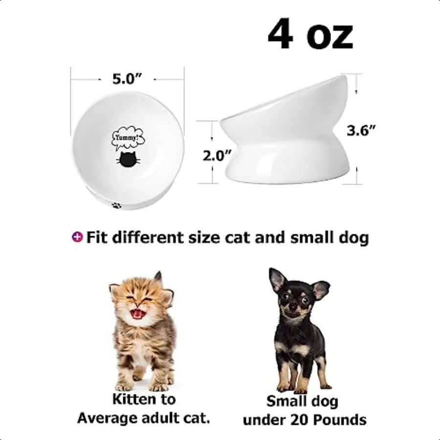 Cat Bowl Anti Vomiting Raised Food Bowls Tilted Elevated Bowl Ceramic Pet Food Bowl for Flat Faced Cats Small Dogs Protect Pet'