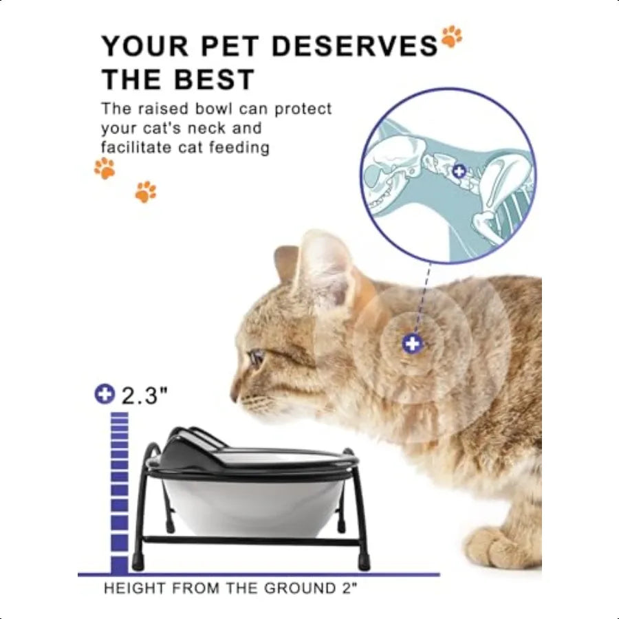 Cat Food Bowls 12 oz Raised Cat Bowls for Food and Water Ceramic Elevated Pet Dishes Bowls with Stand Cats and Small Dogs Dishw