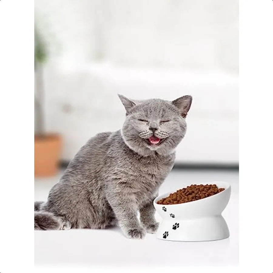 Cat Bowl Anti Vomiting Raised Food Bowls Tilted Elevated Bowl Ceramic Pet Food Bowl for Flat Faced Cats Small Dogs Protect Pet'