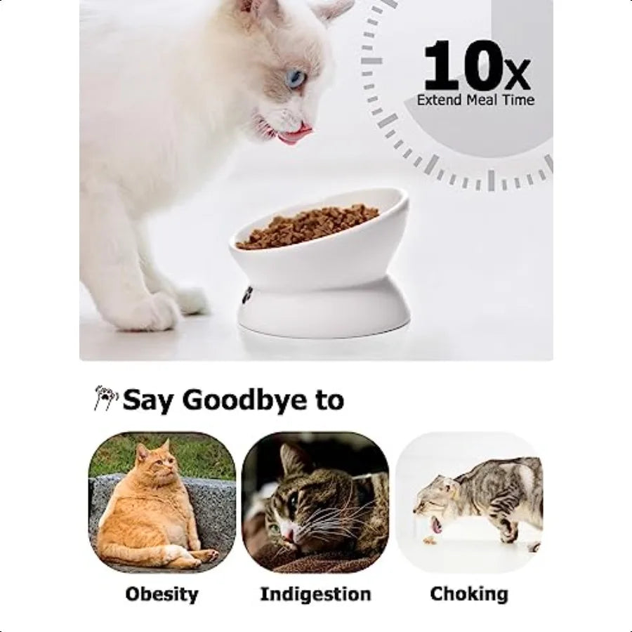 Cat Bowl Anti Vomiting Raised Food Bowls Tilted Elevated Bowl Ceramic Pet Food Bowl for Flat Faced Cats Small Dogs Protect Pet'