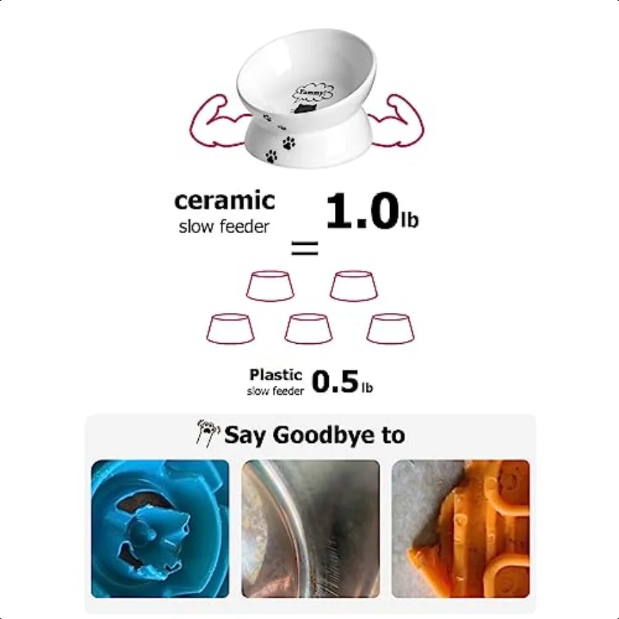 Cat Bowl Anti Vomiting Raised Food Bowls Tilted Elevated Bowl Ceramic Pet Food Bowl for Flat Faced Cats Small Dogs Protect Pet'