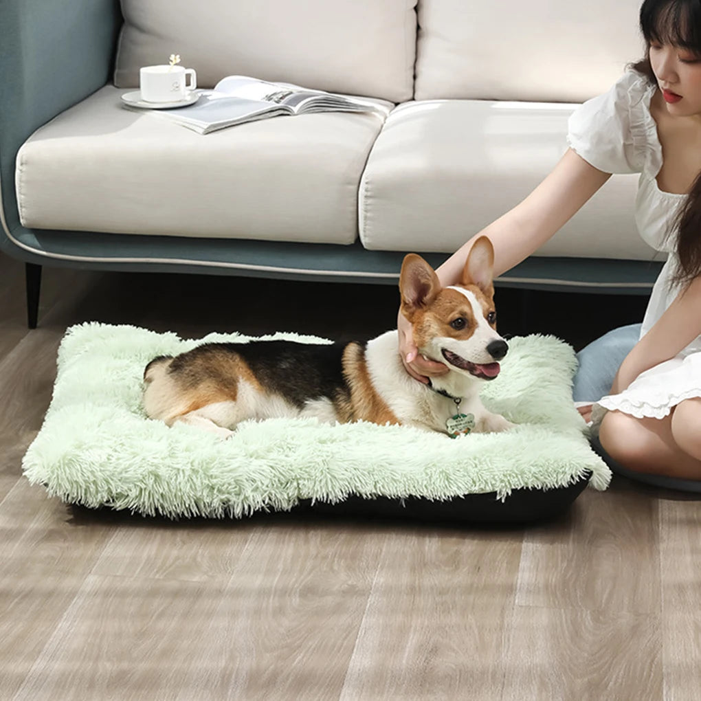 Soft And Comfortable Pet Bed Provide Restful Sleep For Beloved Pet Durable And Long-lasting Dog Cage Bed Dog Bed Mat